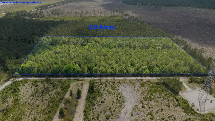 6222 Saints Delight Rd., Georgetown, SC 29440 - #2