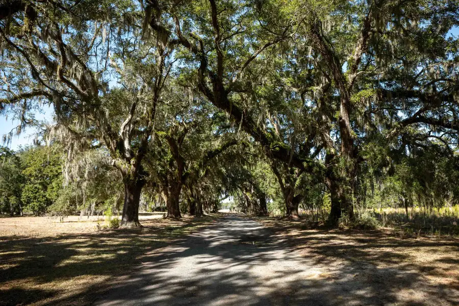1939 Mauricena Rd., Georgetown, SC 29440 - #3