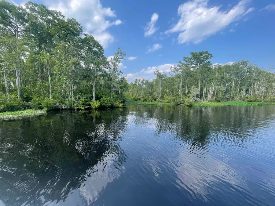 TBD8 Francis Marion Dr., Georgetown, SC 29440 - #3