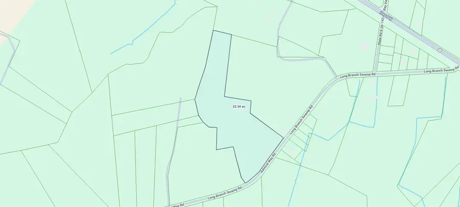 TBD (Tract 4 R) Long Branch Swamp Rd., Green Sea, SC 29545 - #2