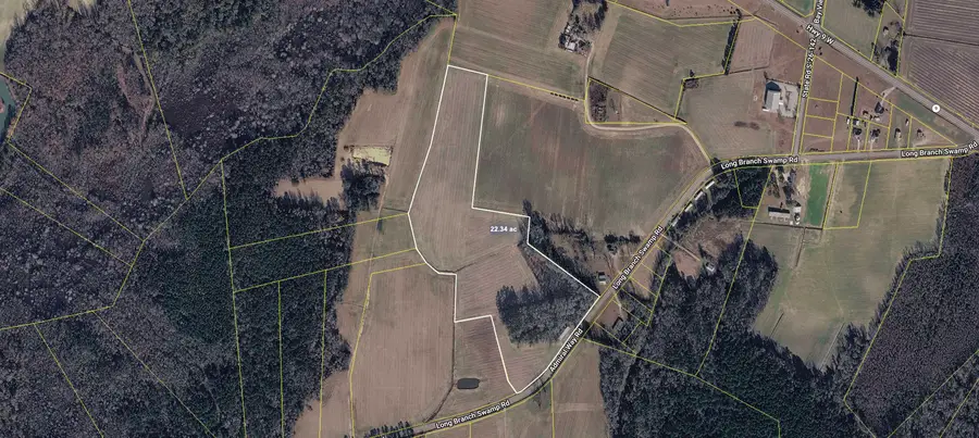 TBD (Tract 4 R) Long Branch Swamp Rd., Green Sea, SC 29545 - #3
