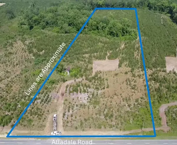 Lot 3 Attadale Rd, Blenheim, SC 29516