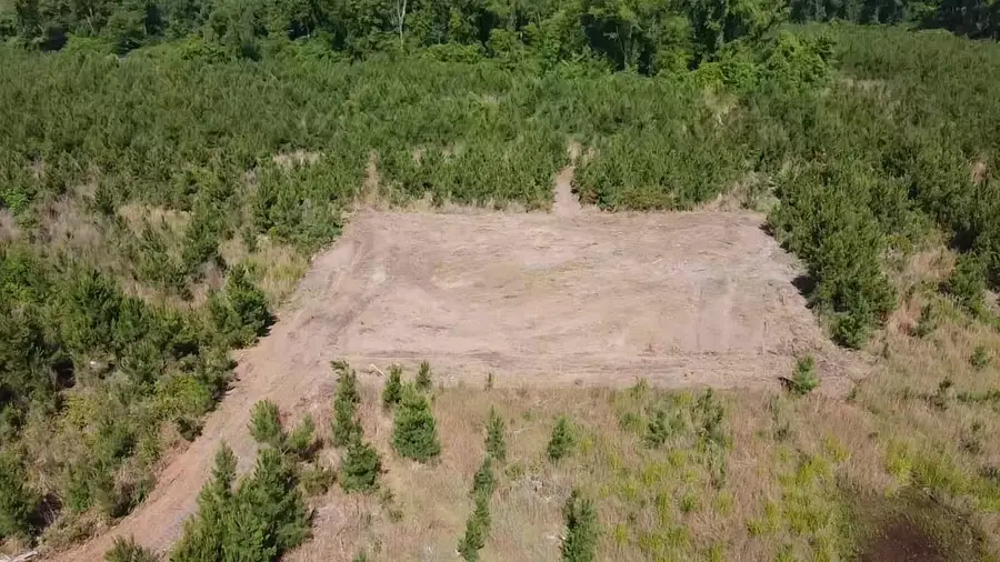 Lot 3 Attadale Rd, Blenheim, SC 29516 - #2