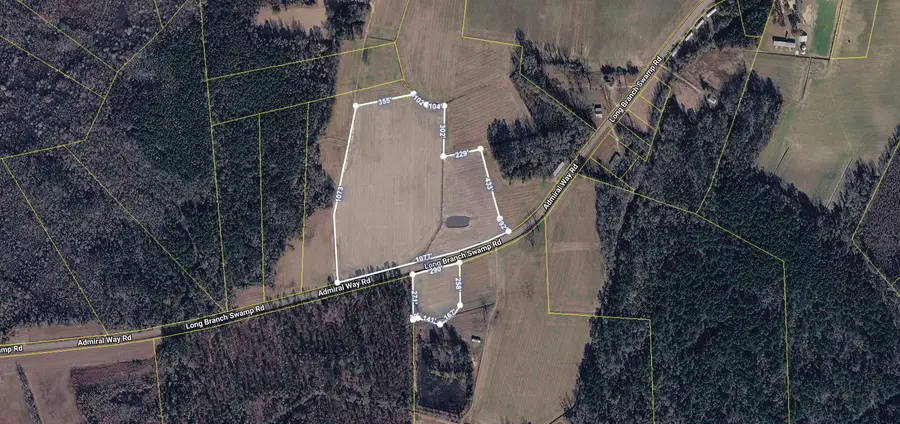 TBD (Tract 3) Long Branch Swamp Rd., Green Sea, SC 29545 - #3