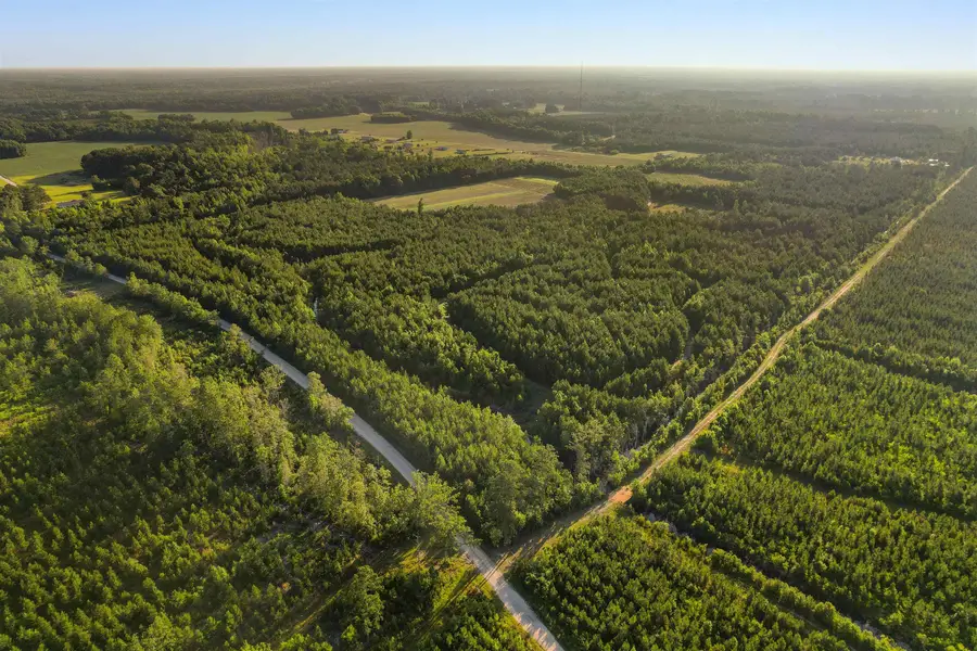 77 Acres - TBD Bert Hanna Rd., Johnsonville, SC 29555 - #2