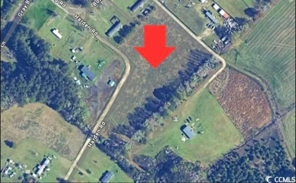 TBD Harden Rd., Pamplico, SC 29583 - #1