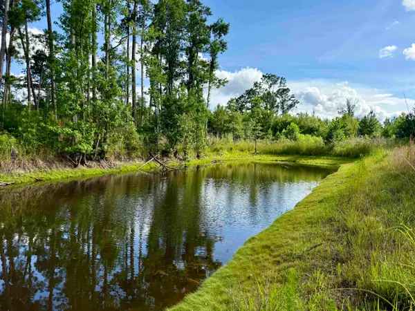 85 Acres - Muddy Creek Rd., Johnsonville, SC 29555