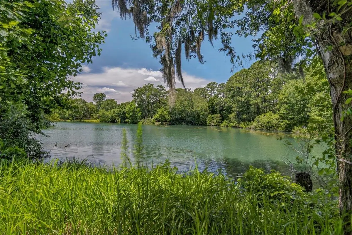 58 Beaver Pond Loop, Pawleys Island, SC 29585 - #1
