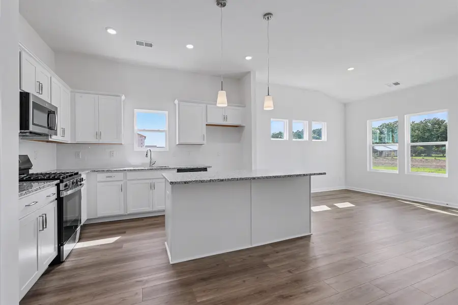 820 Wild Indigo Dr, Conway, SC 29526 - #2