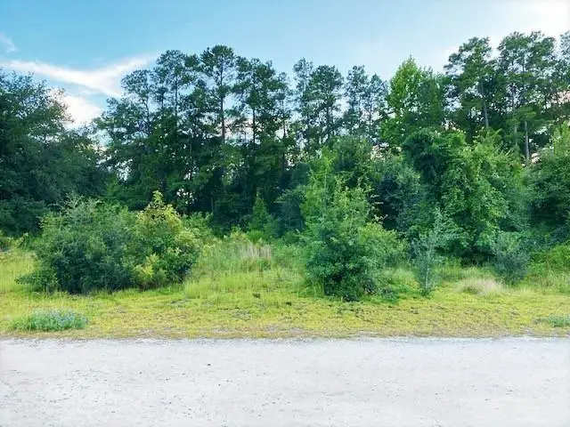 Lot 1 Ivanhoe Pl., Dillon, SC 29536 - #1