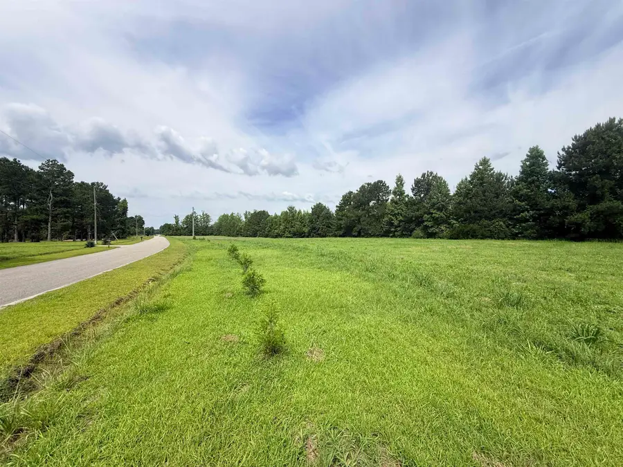 1991 Church Rd., Green Sea, SC 29545 - #2