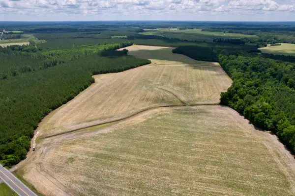 83.03 Acres - Birch Creek Rd., Andrews, SC 29510
