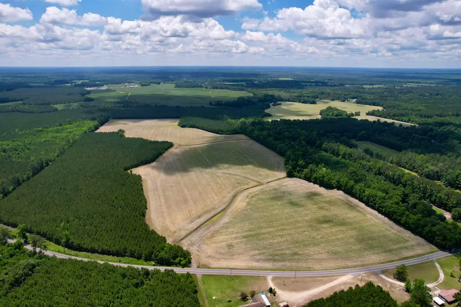 83.03 Acres - Birch Creek Rd., Andrews, SC 29510 - #3