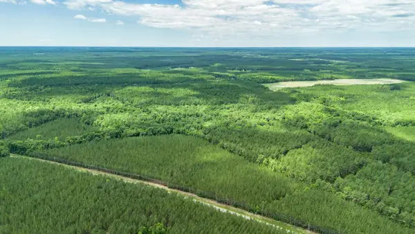 Tract D Ten Acre Rd., Andrews, SC 29510