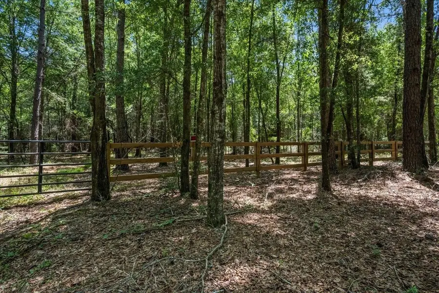 TBD 5.3 Acres Springtown Rd, Bamberg, SC 29003 - #3