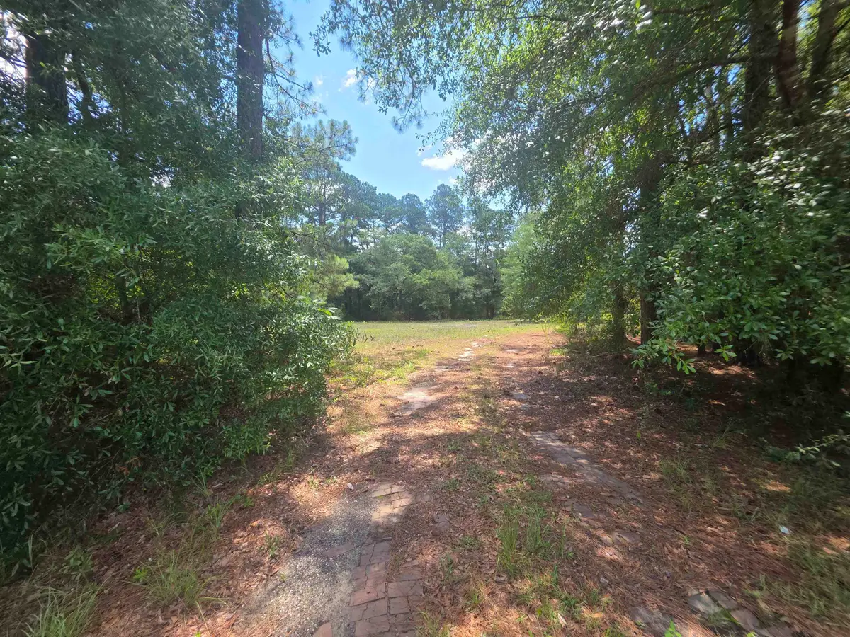 TBD Highway 701 South, Conway, SC 29527 - #1