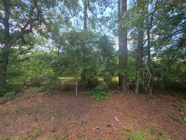 TBD Highway 701 South, Conway, SC 29527