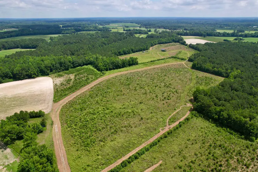 0 Powell Rd., Green Sea, SC 29545 - #2