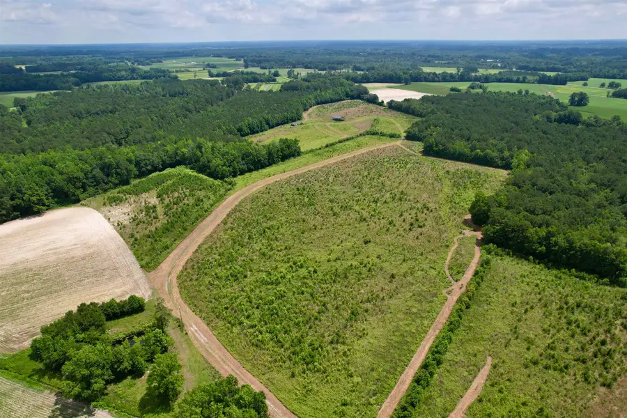 0 Powell Rd., Green Sea, SC 29545 - #3