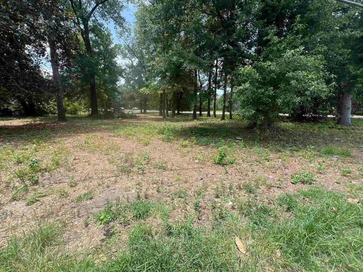 North Longstreet St., Kingstree, SC 29556 - #1