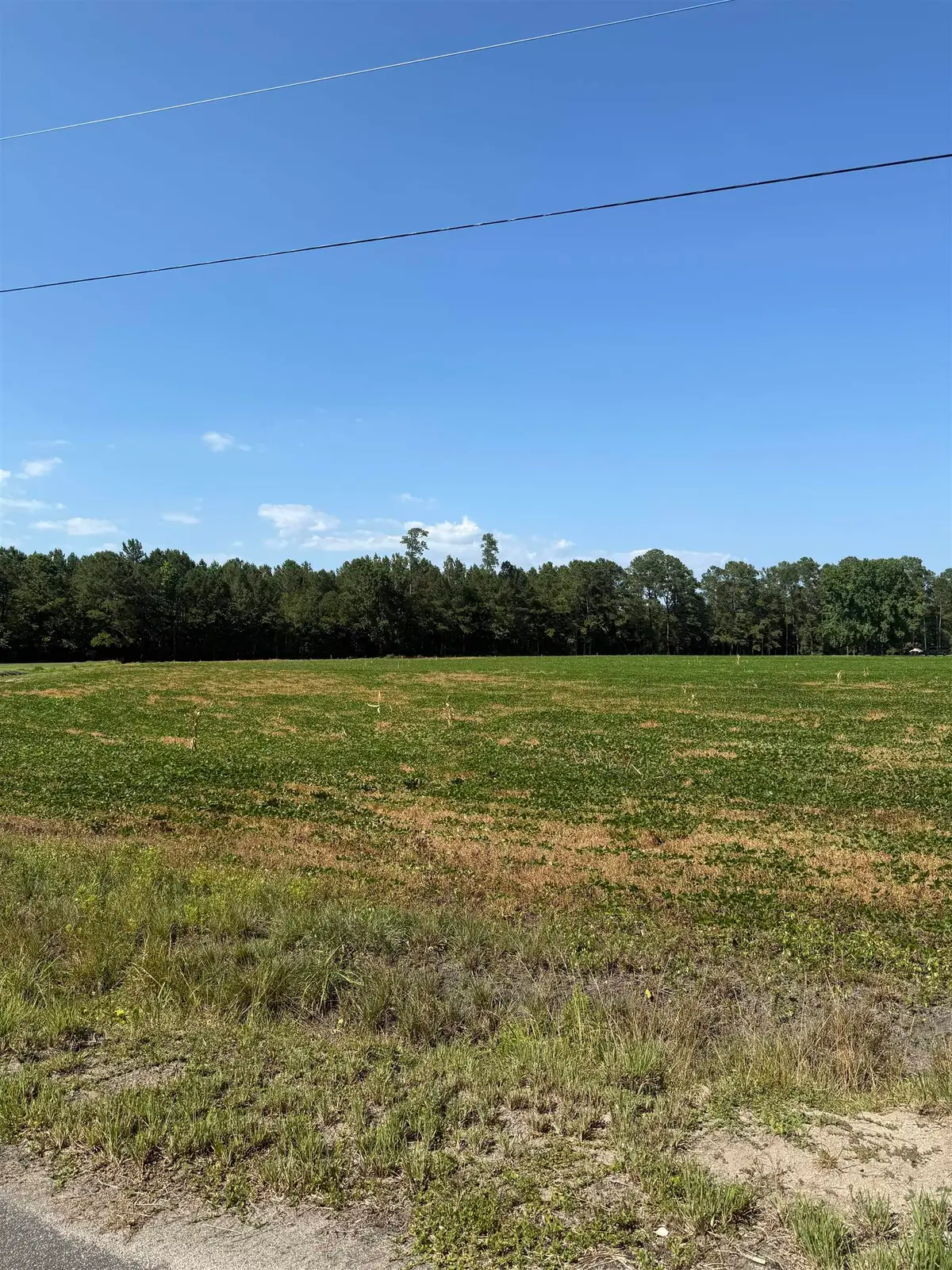 TBD Dupont Rd., Aynor, SC 29511 - #1