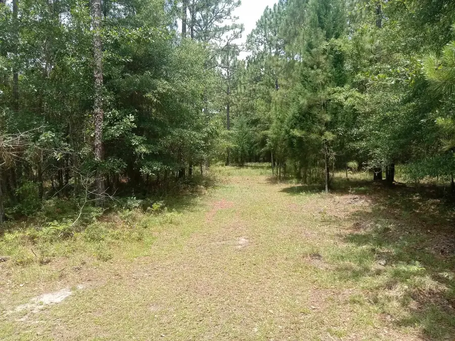LOT 1074 Duany Dr., Georgetown, SC 29440 - #2