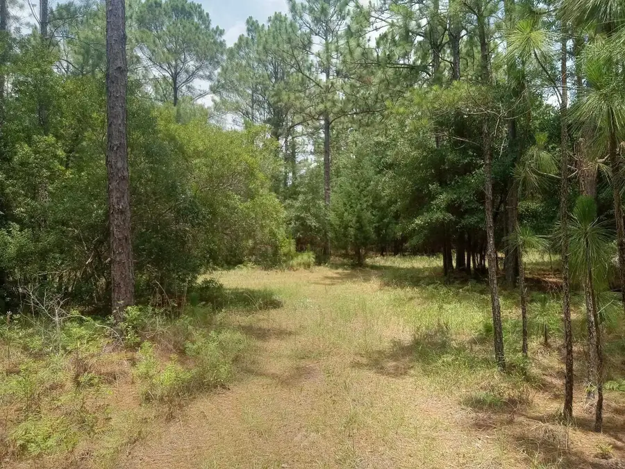 LOT 1074 Duany Dr., Georgetown, SC 29440 - #3