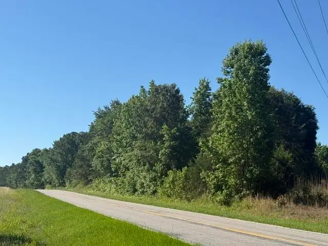 491 Crow Burk Rd, Pageland, SC 29728 - #2