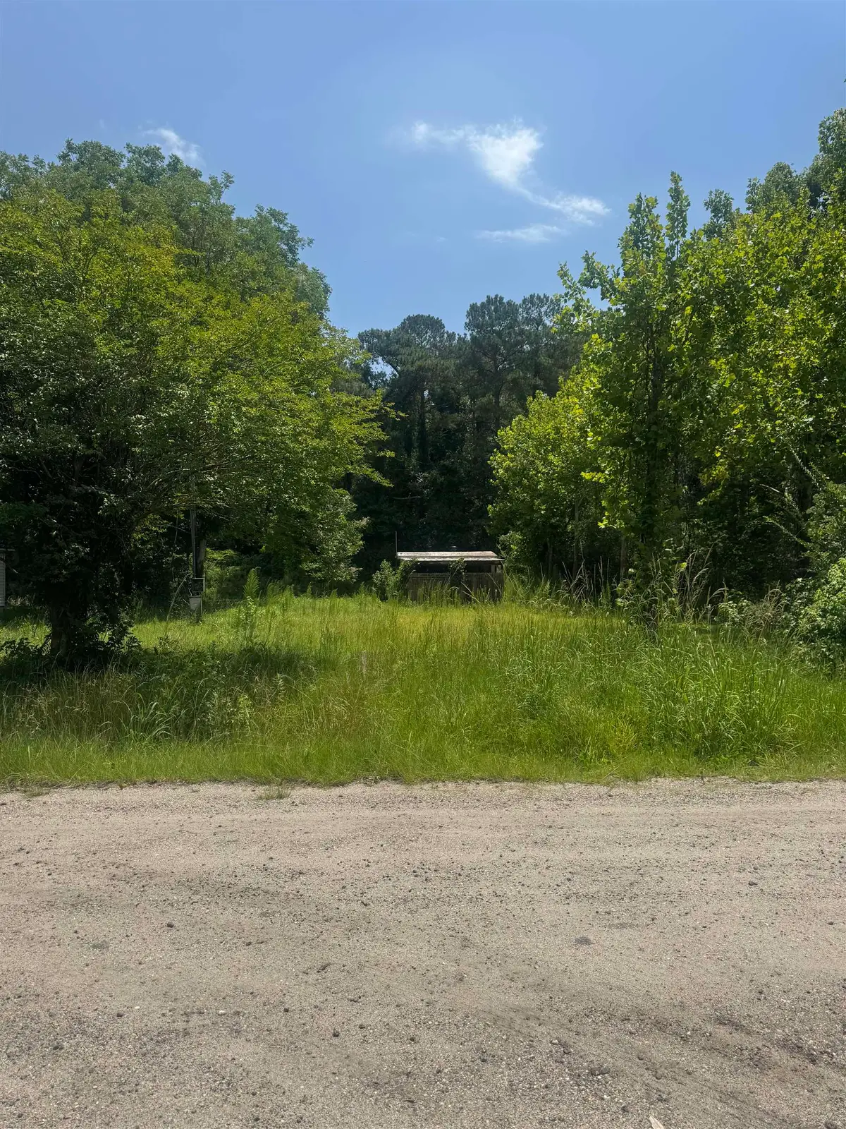 3216 Old Nelson Rd., Conway, SC 29526 - #1