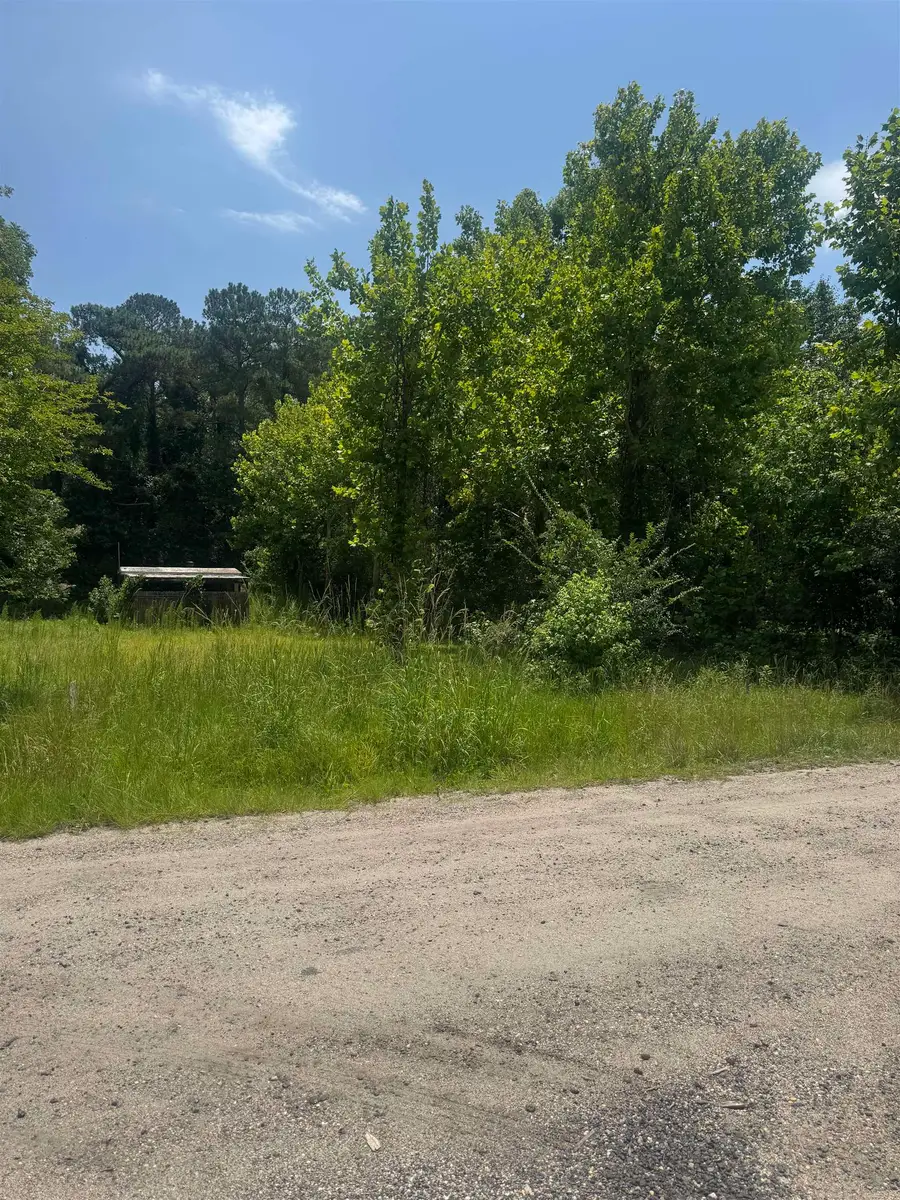 3216 Old Nelson Rd., Conway, SC 29526 - #2
