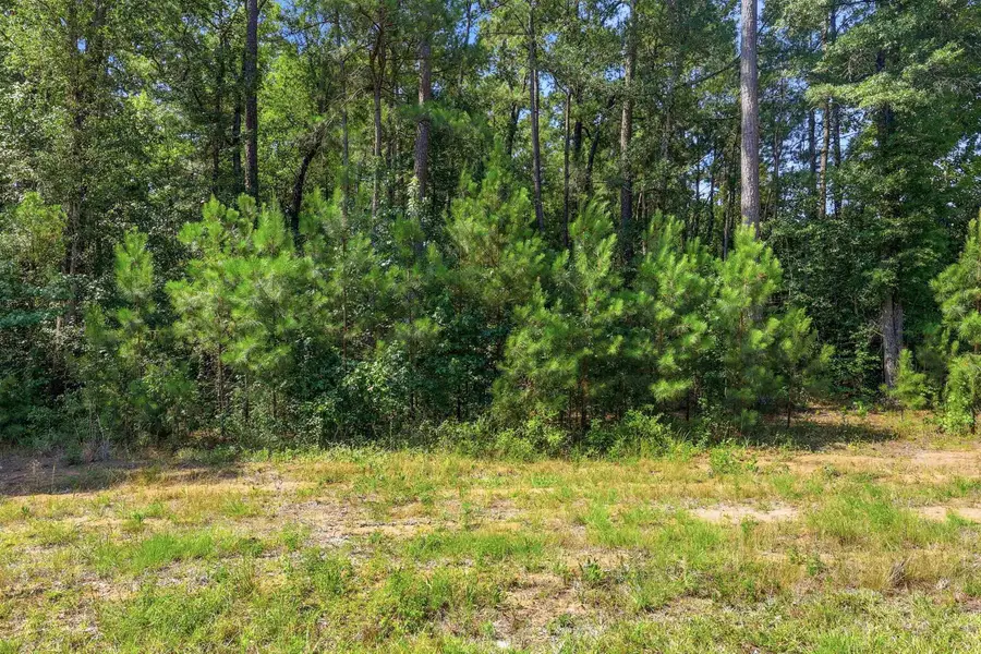 4107 Highway 378, Conway, SC 29527 - #3