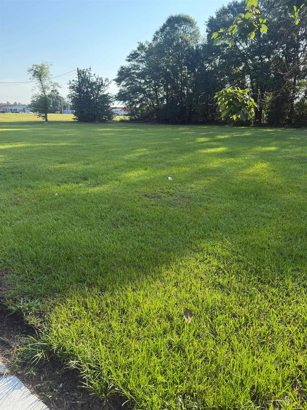 527 South Main St., Mullins, SC 29574 - #1