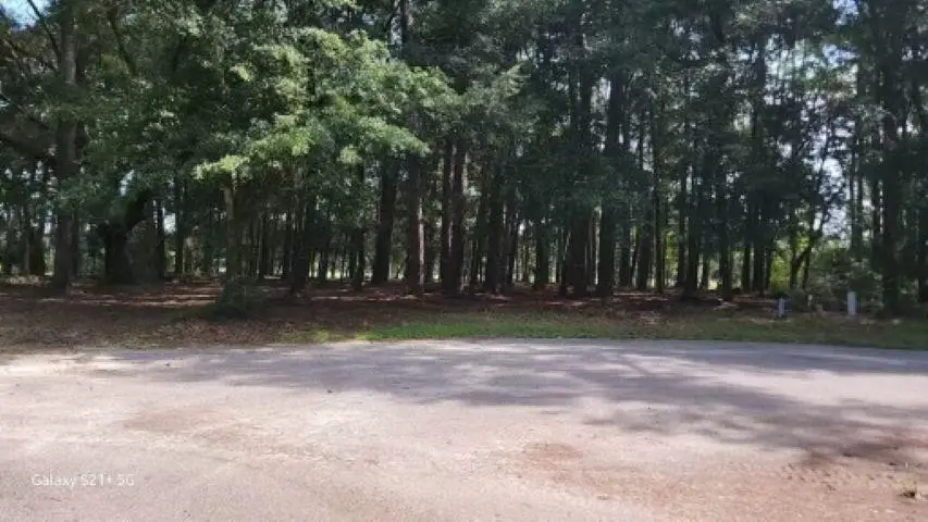 27 Pleasant Place Dr, Beaufort, SC 29907 - #2
