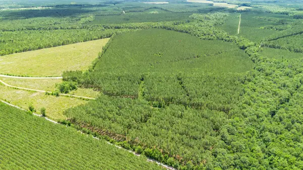 TBD Ten Acre Rd., Andrews, SC 29510