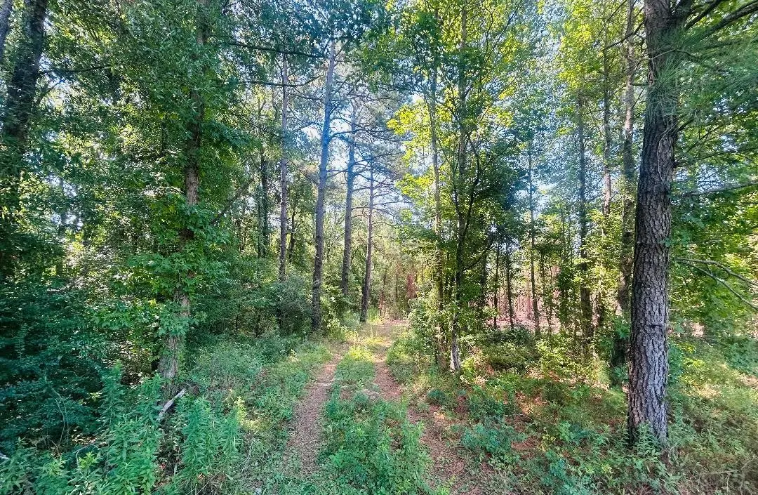 18.3 Acres - Turkey Ln, Kingstree, SC 29556 - #1