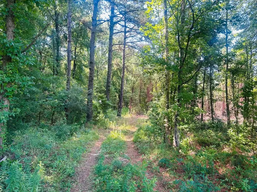 18.3 Acres - Turkey Ln, Kingstree, SC 29556 - #2
