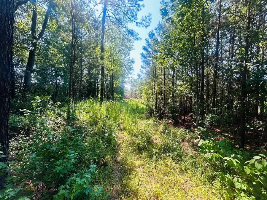 18.3 Acres - Turkey Ln, Kingstree, SC 29556 - #3