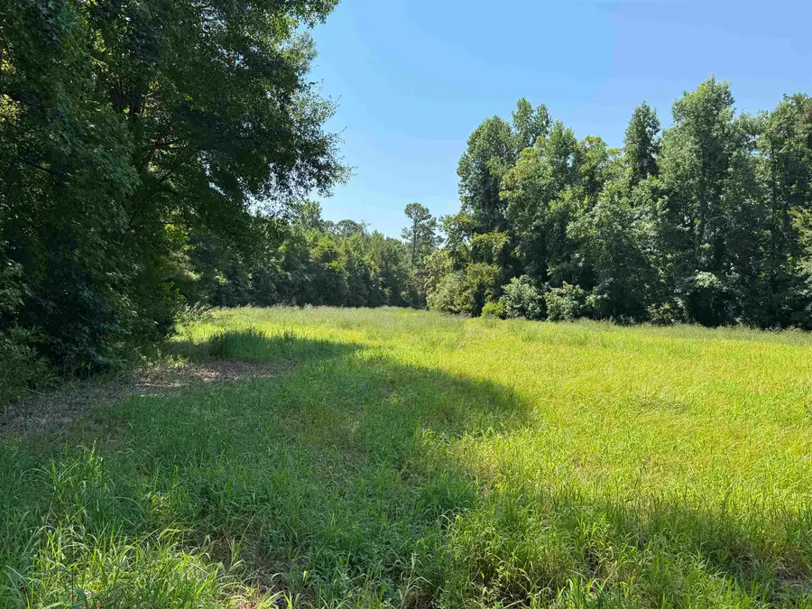 TBD Long Branch Swamp Rd., Nichols, SC 29581 - #3