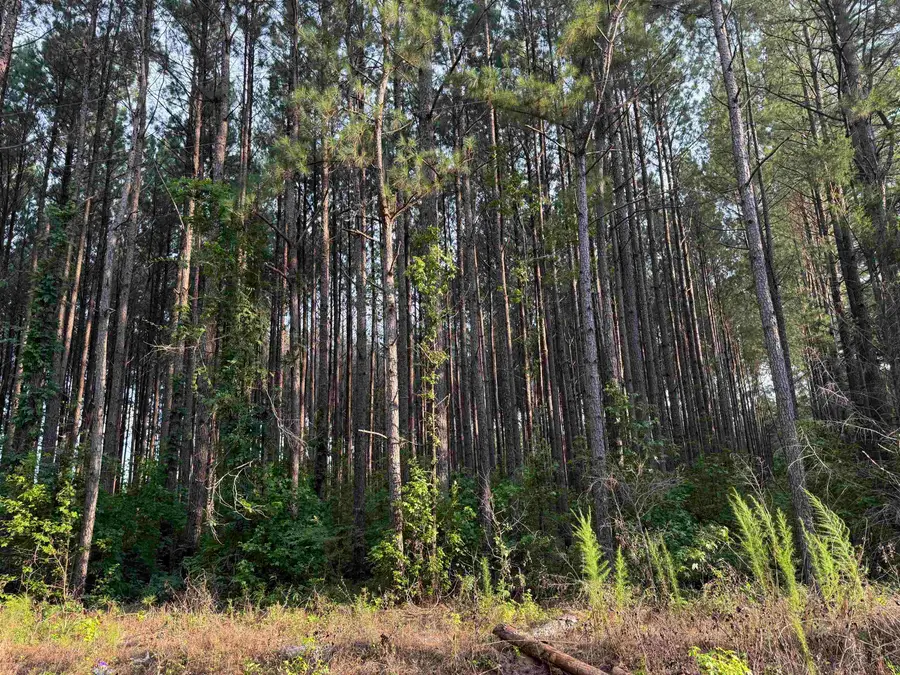 0 S Country Club Rd., Lake City, SC 29560 - #2