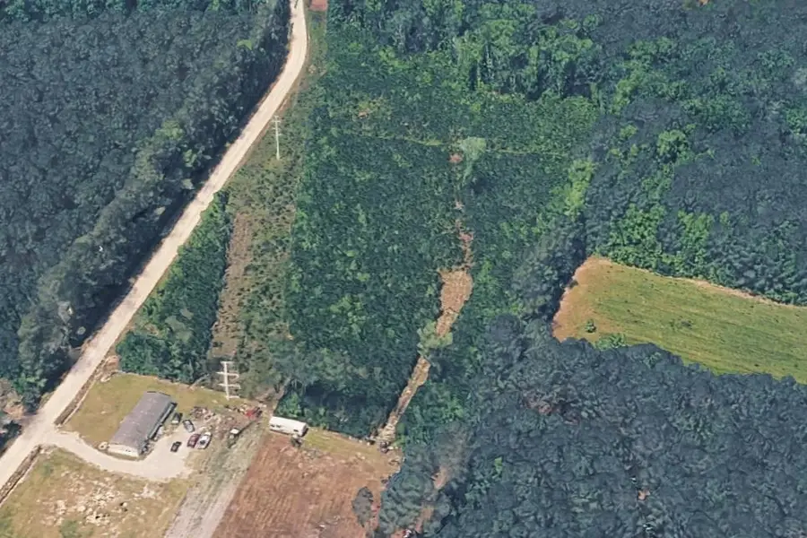 TBD1 Old Forest Dr., Loris, SC 29569 - #2