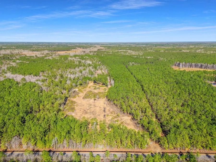 TBD Williams Hill Rd., Hemingway, SC 29554 - #2