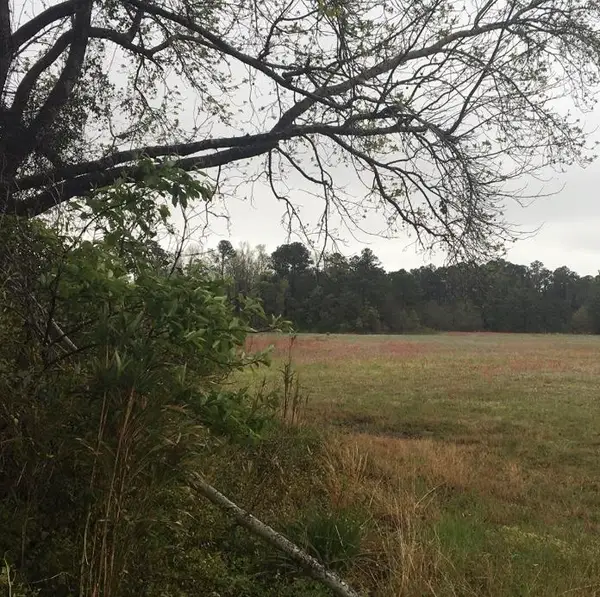 TBD 31.31 Acres Atlantic Breeze Dr., North Myrtle Beach, SC 29582