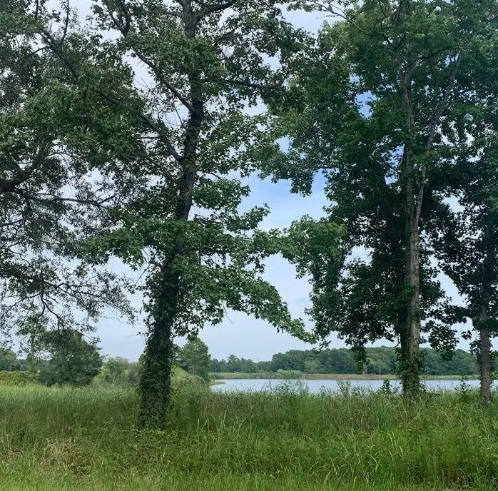 TBD 45.22 Acres Atlantic Breeze Dr., North Myrtle Beach, SC 29582 - #1