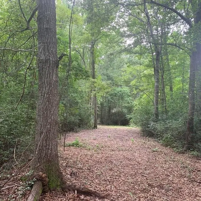 TBD 45.22 Acres Atlantic Breeze Dr., North Myrtle Beach, SC 29582 - #2