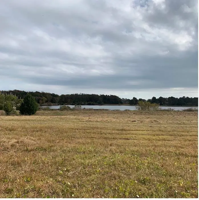 TBD 44.25 Acres Old Sanders Dr., North Myrtle Beach, SC 29582 - #1