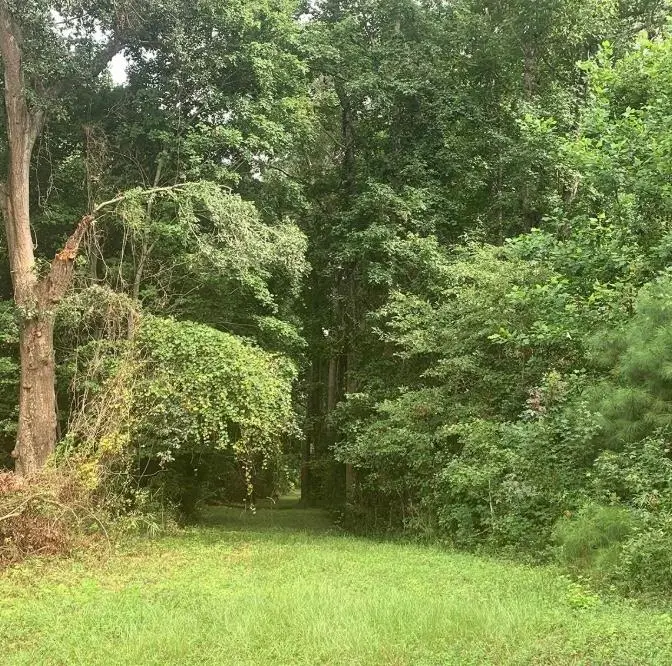 TBD 28.53 Acres Old Sanders Dr., North Myrtle Beach, SC 29582 - #2