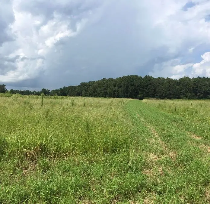 TBD 30.42 Acres Atlantic Breeze Dr., North Myrtle Beach, SC 29582 - #1