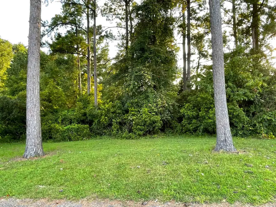 500 Spauldingwood Rd., Little River, SC 29566 - #2