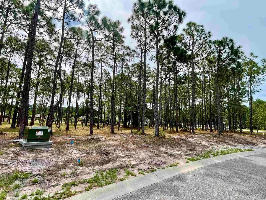 6806 Beckman Circle, Ocean Isle Beach, NC 28469 - #2