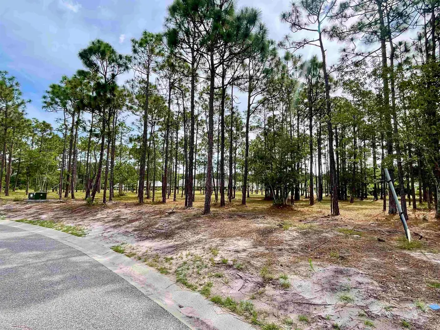 6806 Beckman Circle, Ocean Isle Beach, NC 28469 - #3